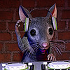 virginie-souris's avatar