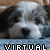 Virtualpartner's avatar