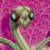 Vlik-Dweller's avatar