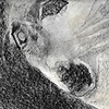 VoicelessWhisper1107's avatar