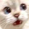 voidwisp's avatar