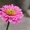 VolcanicBlossom21's avatar