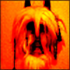 VolmerSwing's avatar