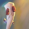 Volted-Rat's avatar