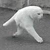 VonHollde's avatar