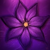 Vortoria-Iris's avatar