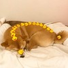 vugea's avatar