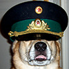 Vumpalouska's avatar