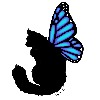 vynnetia's avatar