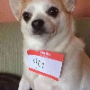 wafflesfordinner21's avatar