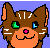 warrior-cat-girl-01's avatar