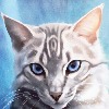 Warriorzforlife777's avatar