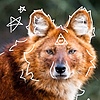 WARRlORcatTherian's avatar