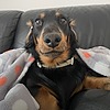 watcherkishi's avatar