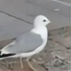 WaterBird-Seagull's avatar
