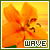Wavecaller's avatar