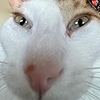 webcawn's avatar