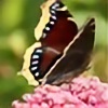 WeepingButterfly's avatar