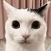 Weirdjeeode's avatar