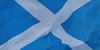 WeLoveScotland's avatar