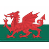 Welsh-Fury's avatar