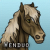 wenduo99's avatar