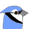 west-bluejay's avatar