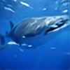 whalesharker's avatar