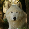 white-wolf-pack's avatar