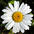 whiteblur's avatar