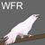 whitefeathered-raven's avatar