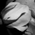 whiterose147's avatar