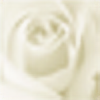whiterosemistress's avatar