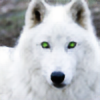 whitewolf346's avatar