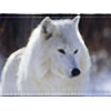 whitewolfcreations's avatar