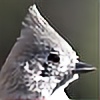 Whizzilator's avatar