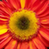 Whovian1421's avatar
