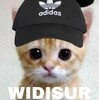 widisur's avatar