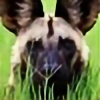 wilddog11's avatar