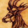 wildelbenreiter's avatar