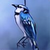 wildestswift's avatar