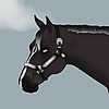 wildhorsesandragons's avatar