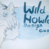 WildHowler48's avatar