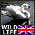 WildlifeUK's avatar