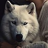 Wildpony65's avatar
