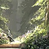 William81ty's avatar