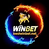 winbetbest's avatar