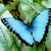 wingedangel123's avatar