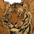 WingedWarTigers's avatar