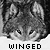 wingedwolf's avatar
